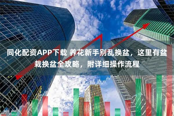 同化配资APP下载 养花新手别乱换盆，这里有盆栽换盆全攻略，附详细操作流程