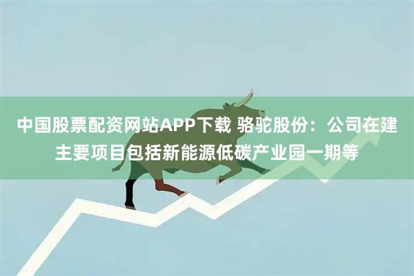 中国股票配资网站APP下载 骆驼股份：公司在建主要项目包括新能源低碳产业园一期等