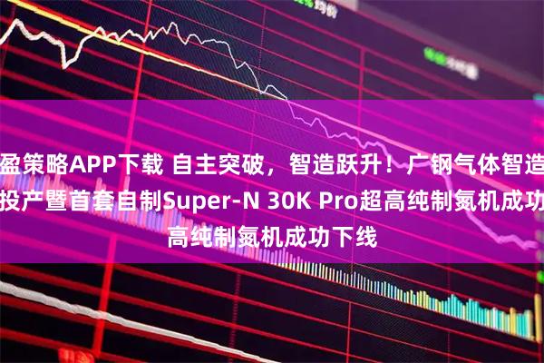 盈策略APP下载 自主突破,智造跃升!广钢气体智造基地投产暨首套自制Super-N 30K Pro超高纯制氮机成功下线