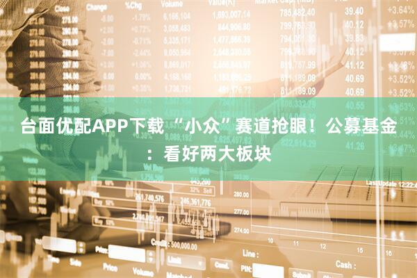 台面优配APP下载 “小众”赛道抢眼!公募基金:看好两大板块